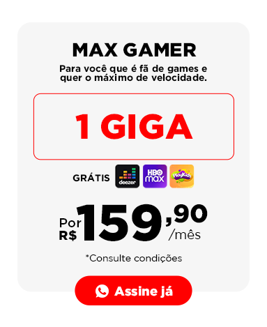 max gamer (1)